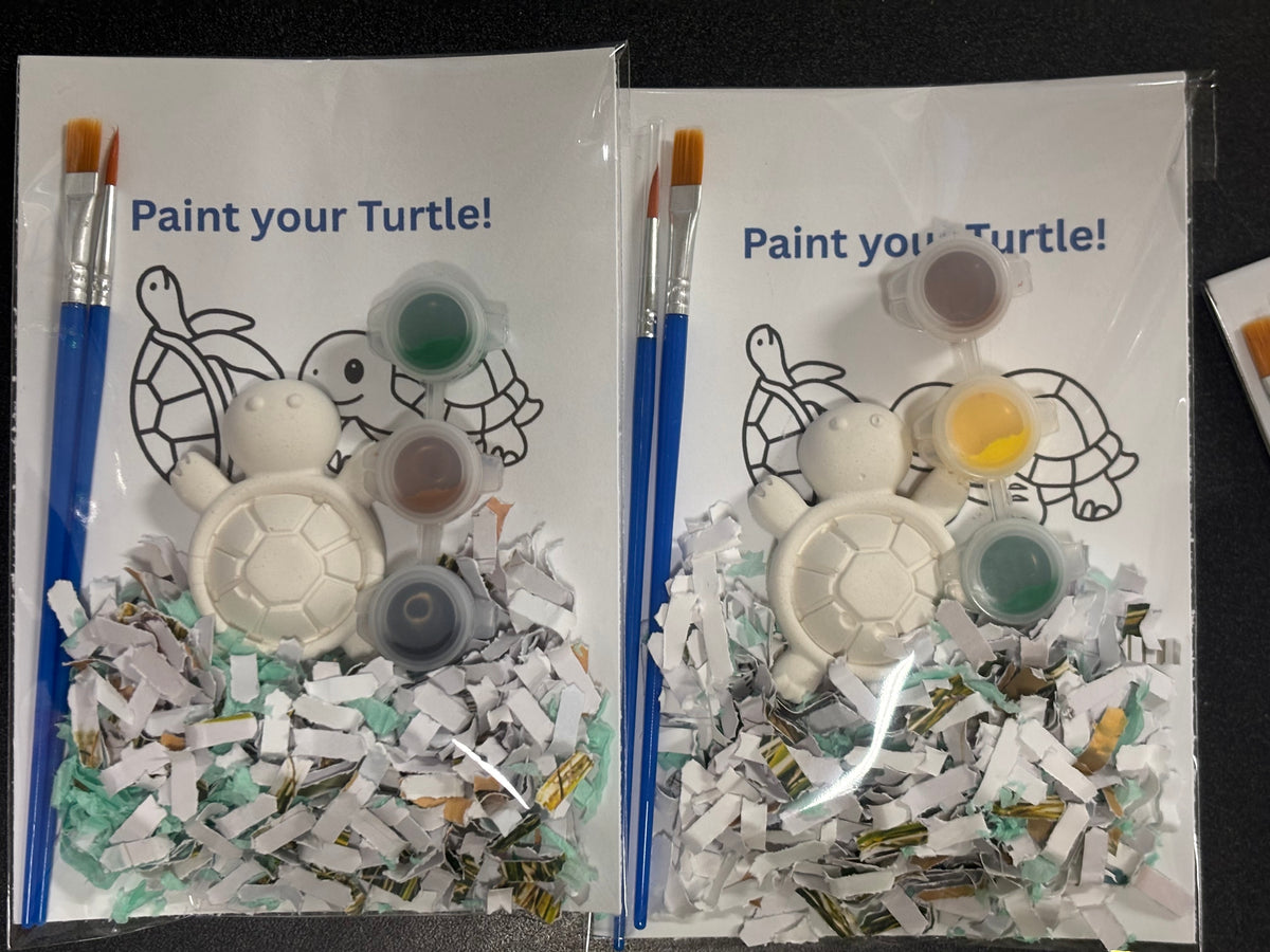 Paint your Turtle